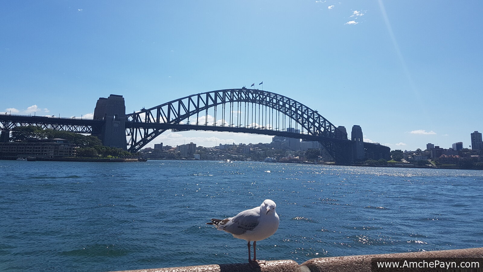 Our First Taste of Australia
