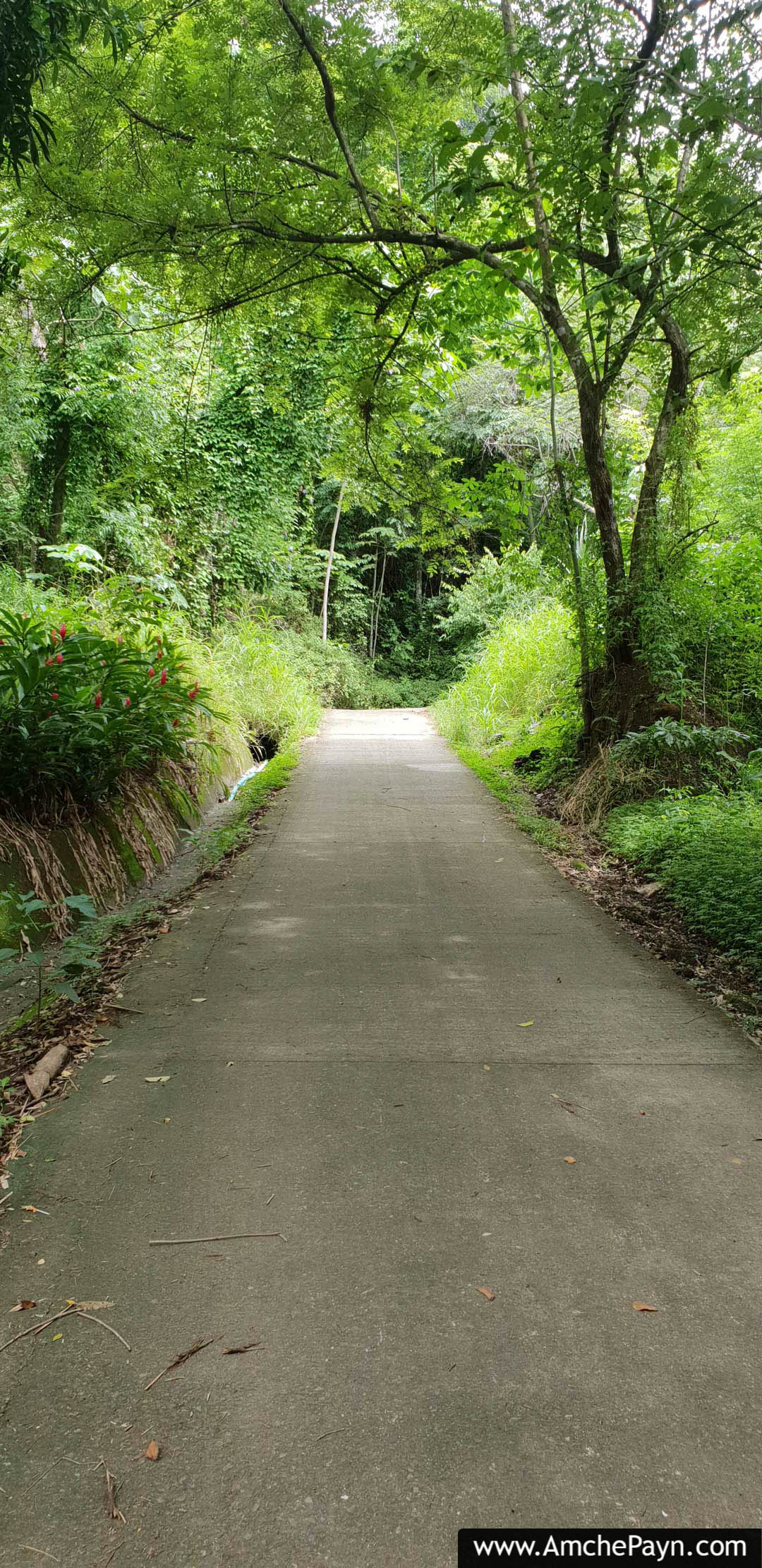 The starting point of El Miro Trail.