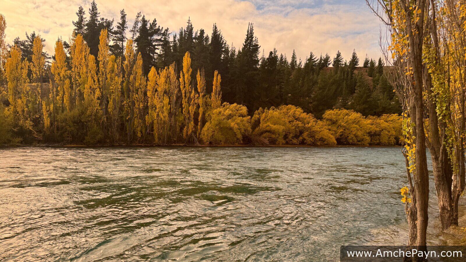 Glentanner to Te Anau: Peter's Lookout, Wanaka & That Wanaka Tree