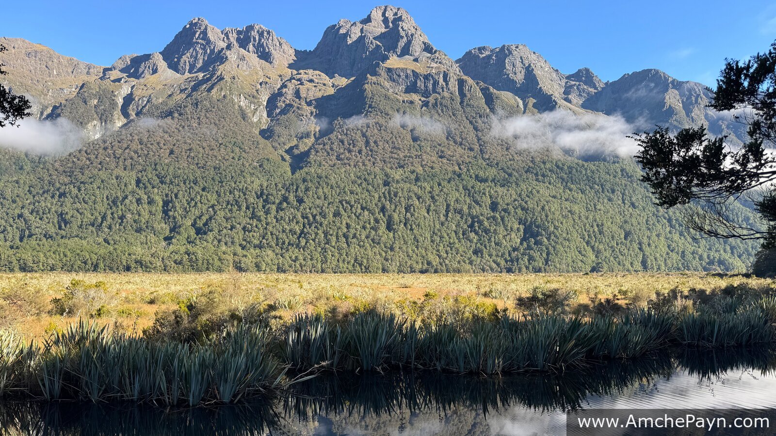 Five Nights in a Campervan: New Zealand's South Island